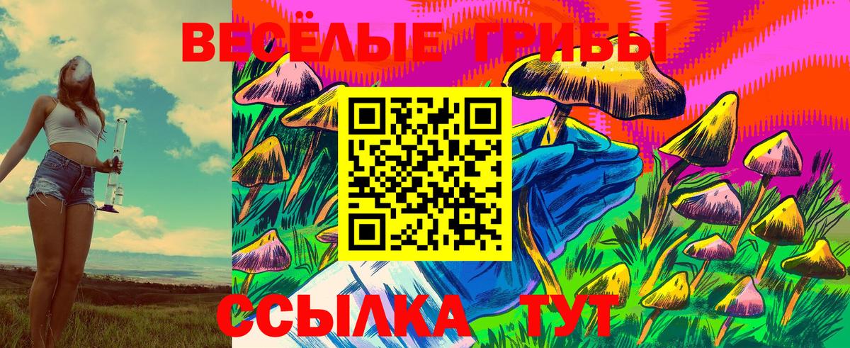 Псилоцибиновые грибы GOLDEN TEACHER Учалы