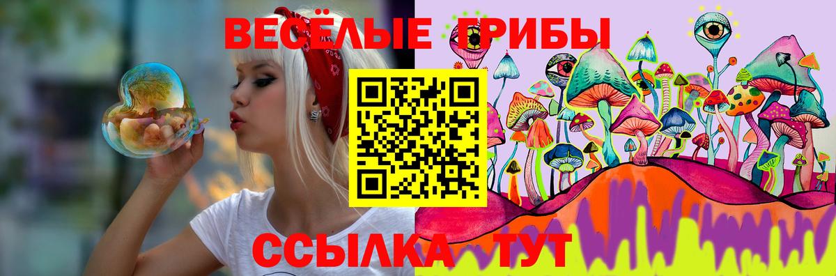 Учалы  Псилоцибиновые грибы Psilocybe  Вход с VPN 